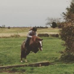 Pony for part loan