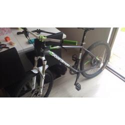 Team boardman