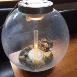 Orb Globe fish tank and accessories.