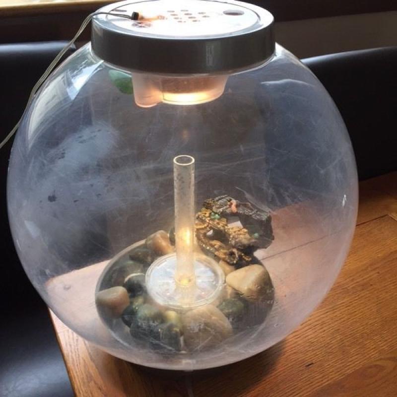 Orb Globe fish tank and accessories.