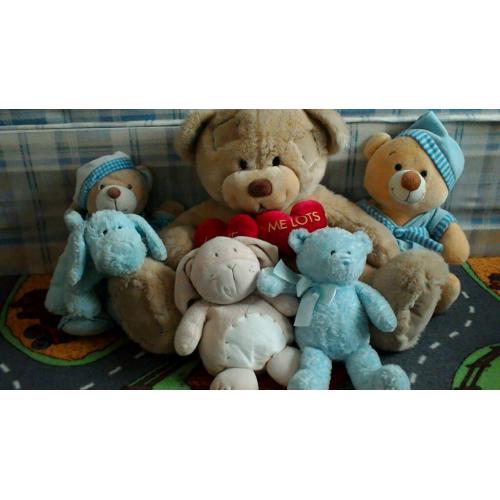 Teddy bundle