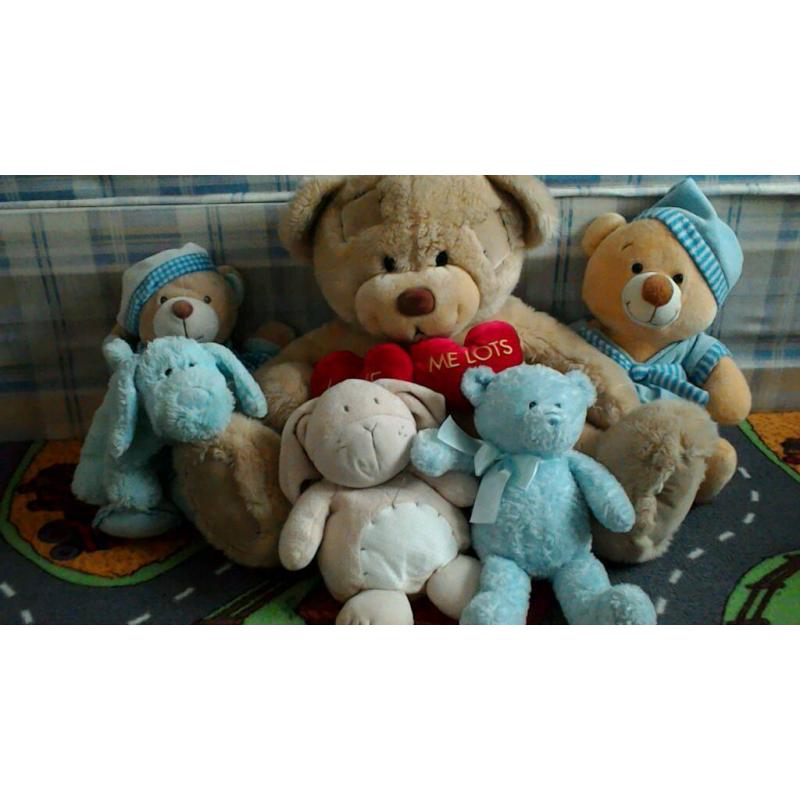 Teddy bundle