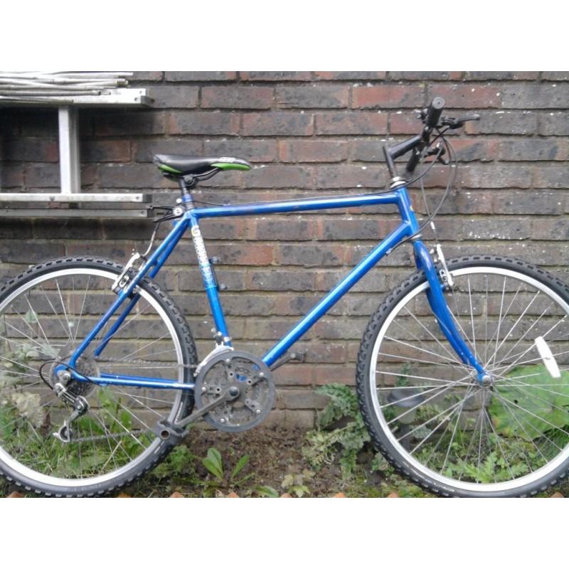 Mens Road Bike