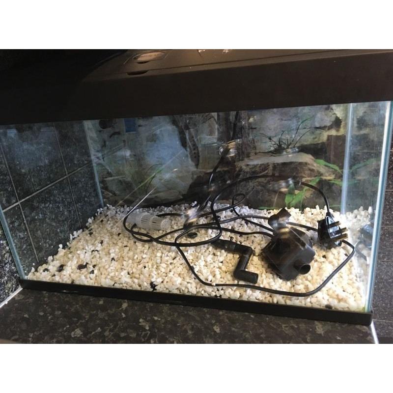 40 litre tank with carbon filter