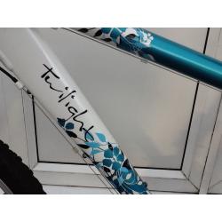 Ladies mountain bike