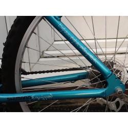 Ladies mountain bike