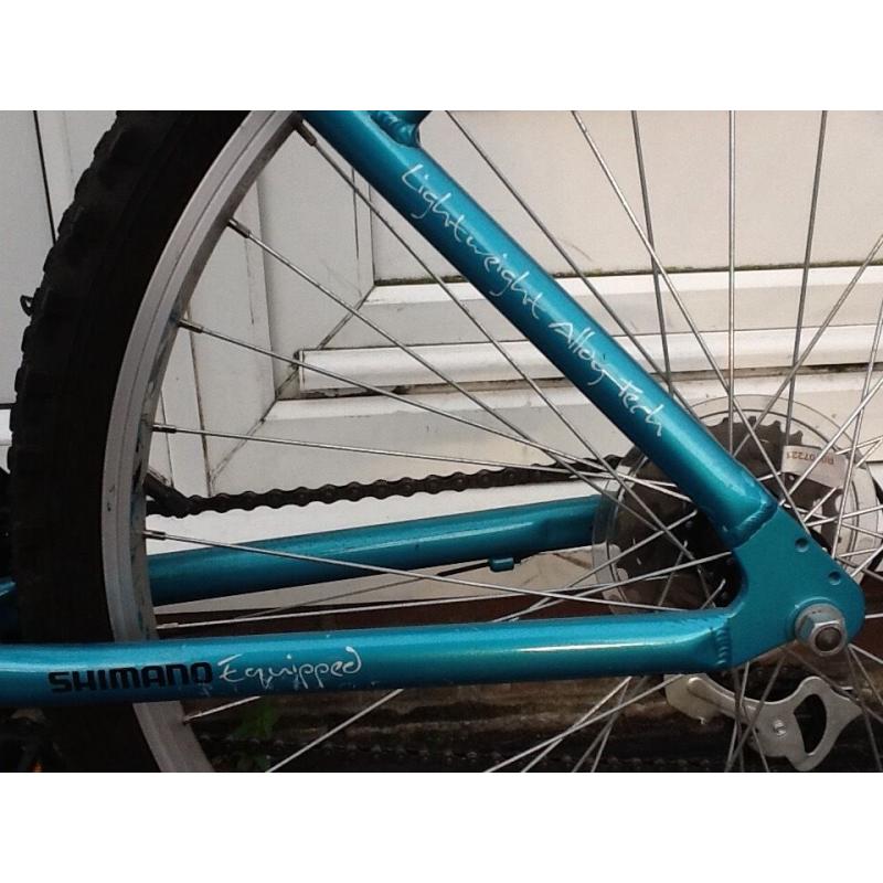 Ladies mountain bike