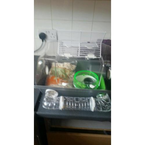 Hamster cage