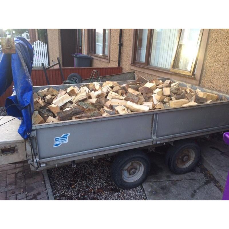 Split firewood logs