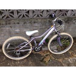 Giant Areva mountain bike