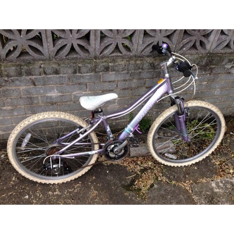 Giant Areva mountain bike