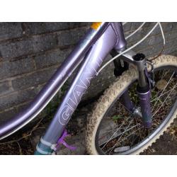 Giant Areva mountain bike