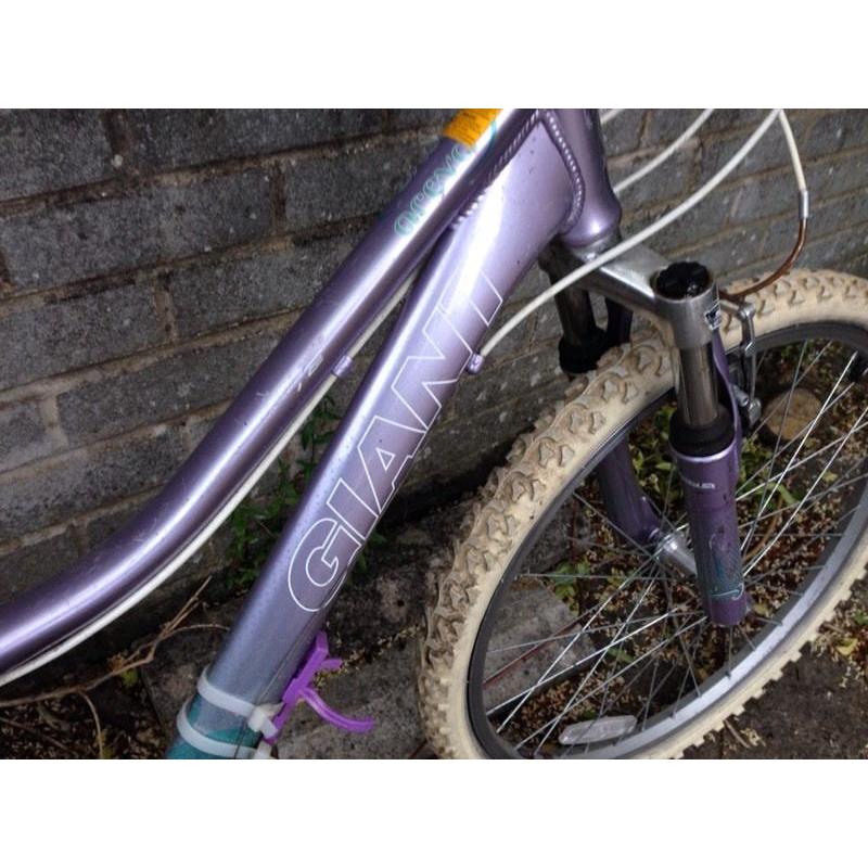 Giant Areva mountain bike