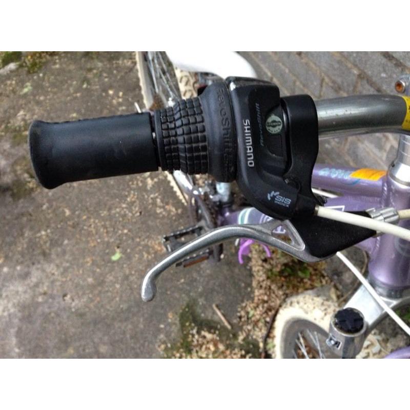 Giant Areva mountain bike