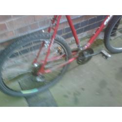 Giant gsr 200 non-suspension bike