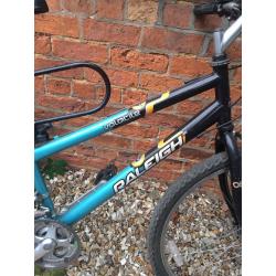 Ladies Raleigh Bike