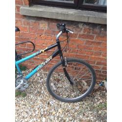 Ladies Raleigh Bike