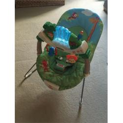 Fisher Price 'Rainforest Friends' Baby Bouncer