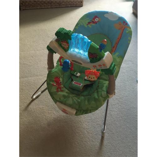 Fisher Price 'Rainforest Friends' Baby Bouncer