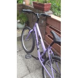 Girls purple bike