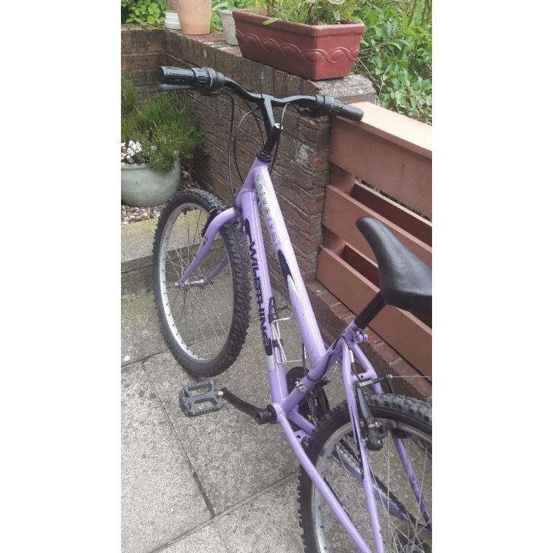 Girls purple bike