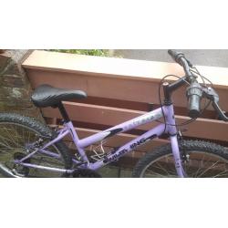 Girls purple bike