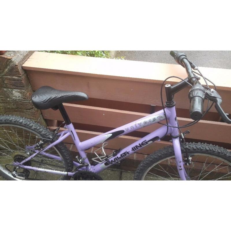 Girls purple bike