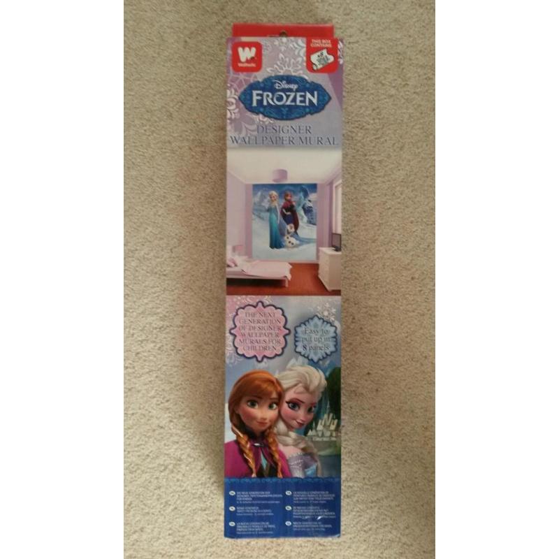 Frozen wall mural