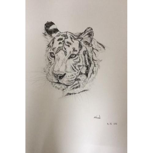Pet drawings