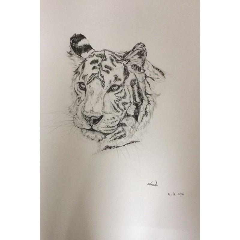 Pet drawings