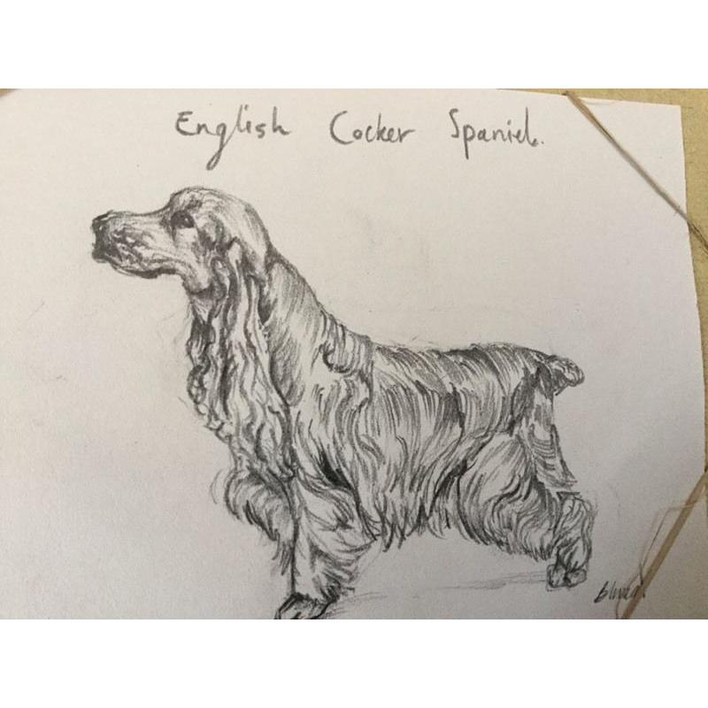 Pet drawings