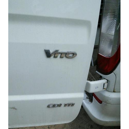 Mercedes-Benz vito 111cdi dualiner project day van?