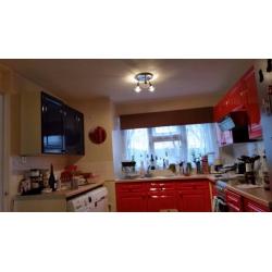 Tidy and cozy single room in 3 bedroom house with garden available now
