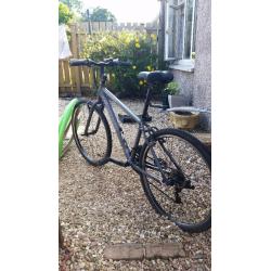 Carrera subway hybrid bike