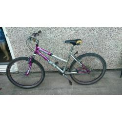 Silverfox ladies mountain bike