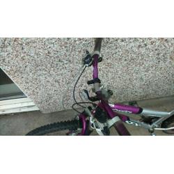 Silverfox ladies mountain bike