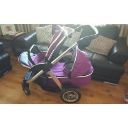 Oyster Max Tandem in Grape