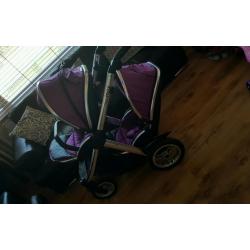 Oyster Max Tandem in Grape