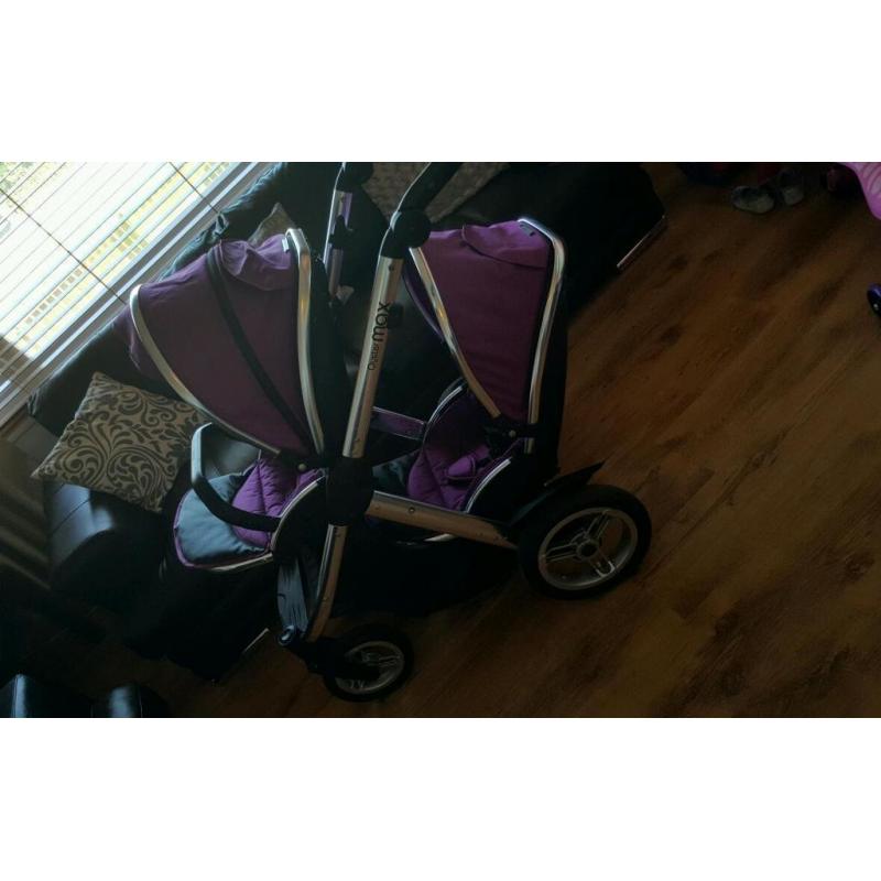 Oyster Max Tandem in Grape
