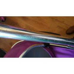 Oyster Max Tandem in Grape