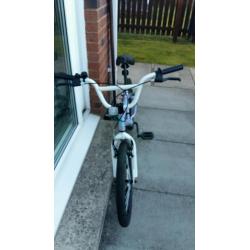 Kids 20" Bike