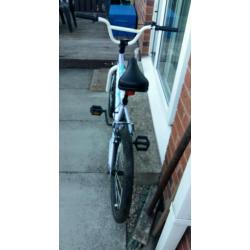 Kids 20" Bike