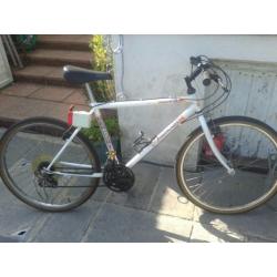 Boys Mercury Mountain Bike