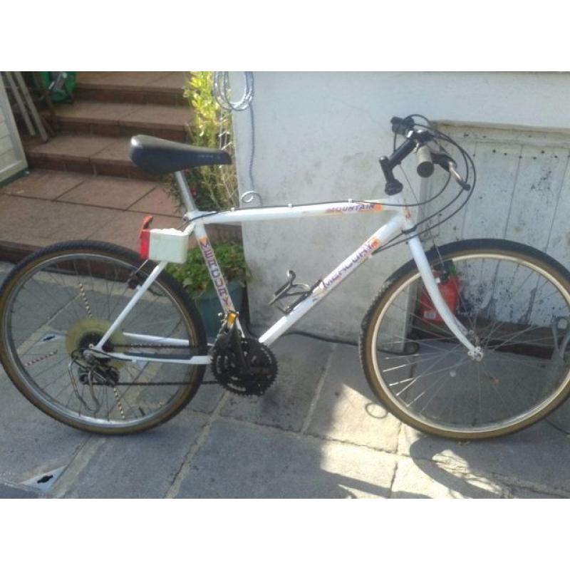Boys Mercury Mountain Bike