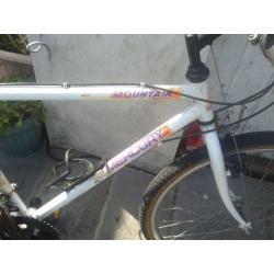 Boys Mercury Mountain Bike