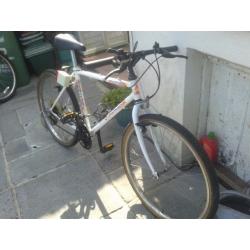 Boys Mercury Mountain Bike
