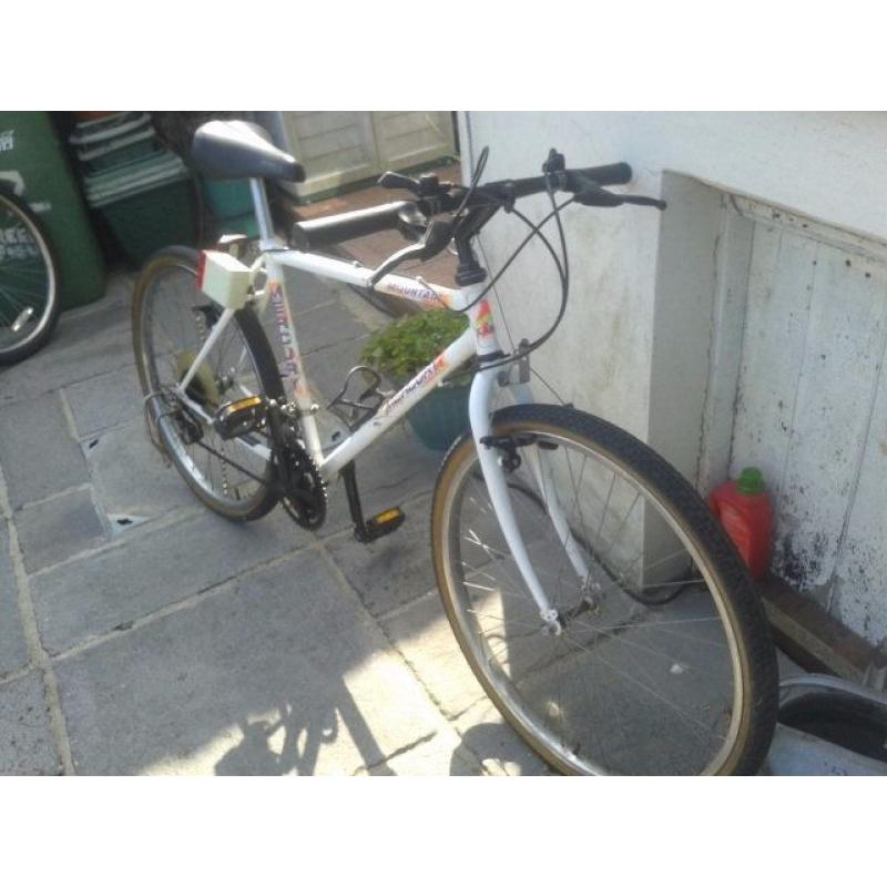 Boys Mercury Mountain Bike