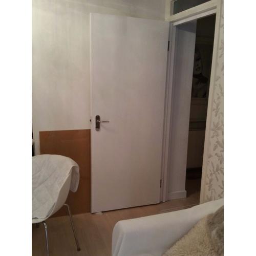WHITE INTERNAL DOOR