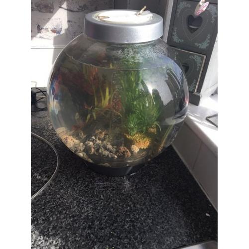 Fish tank