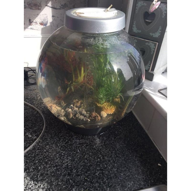 Fish tank